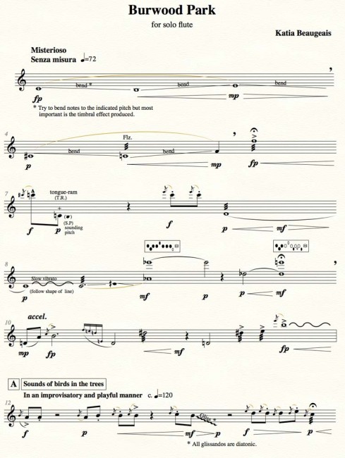 Burwood Park for solo flute explores a wide range of extended technqiues. This piece is listed on the Australian Music Examinations Board (AMEB) for LMusA.