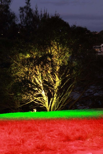 The sound of bird, water, seawave sounds projected throughout the Park was extra special with the amazing light show during 'By the Water'.