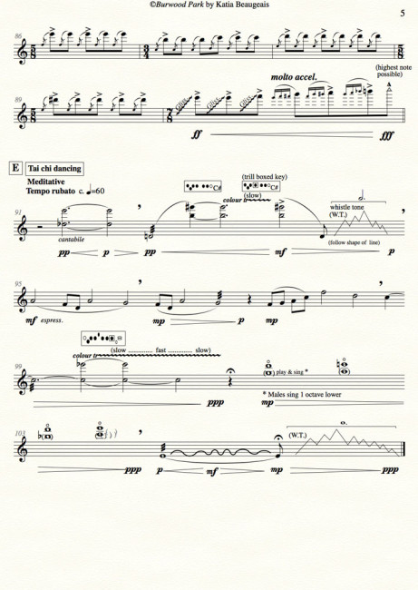 Burwood Park for solo flute - last page